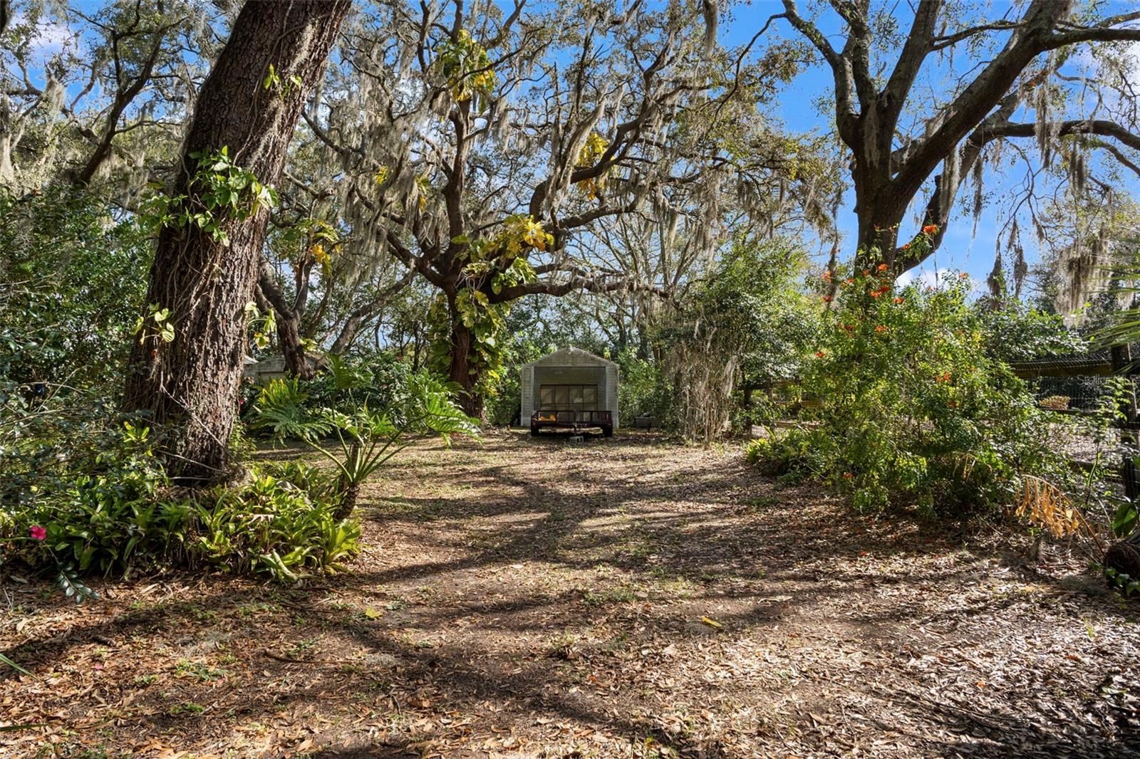 13015 ELM ST, ODESSA, FL, 33556
