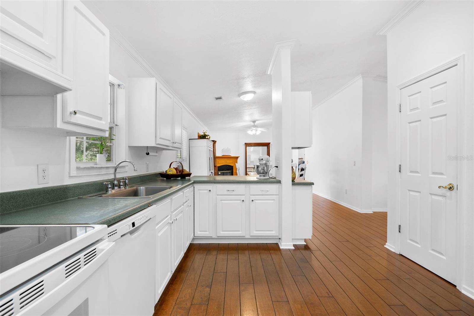 13015 ELM ST, ODESSA, FL, 33556