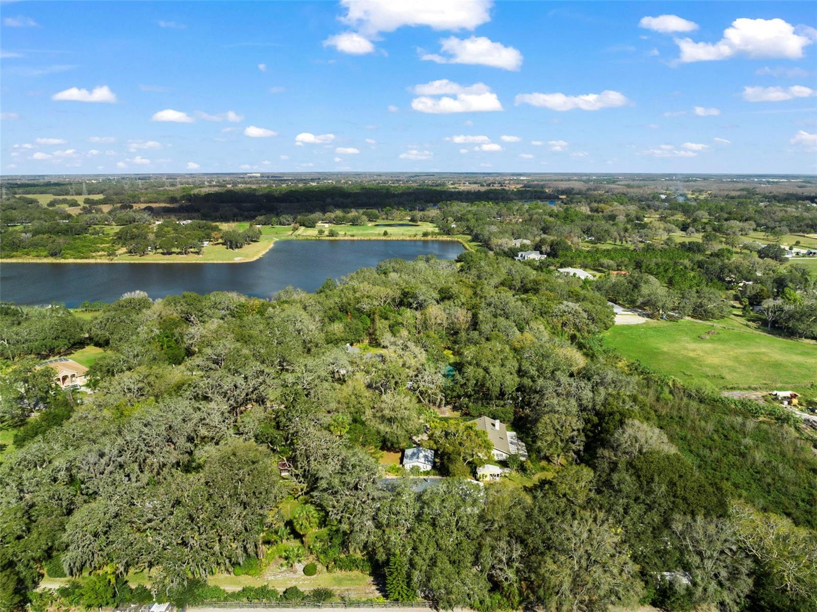 13015 ELM ST, ODESSA, FL, 33556