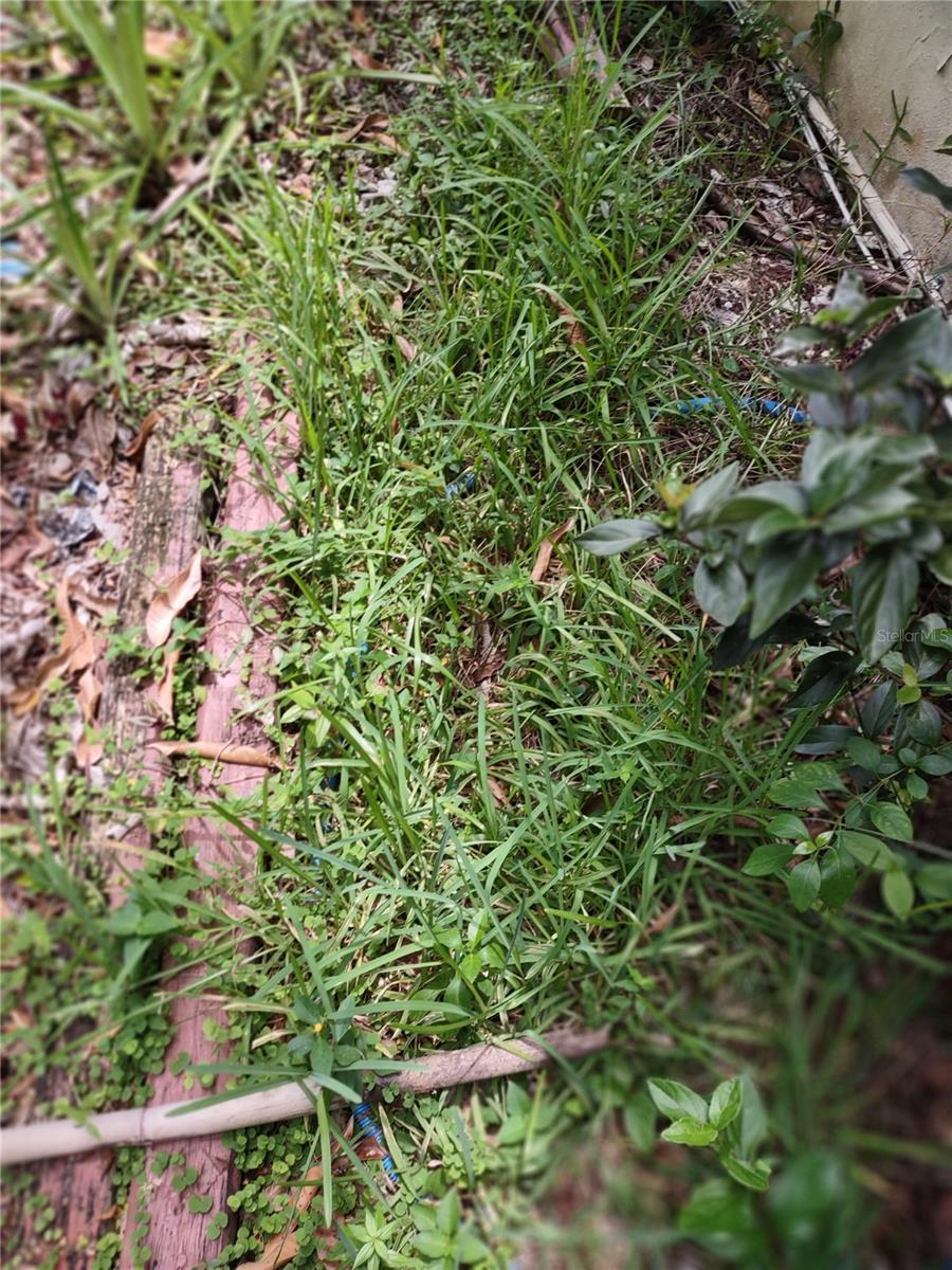 21431 SE 70 ST, MORRISTON, FL, 32668