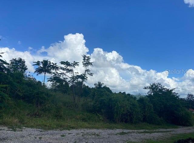 21431 SE 70 ST, MORRISTON, FL, 32668