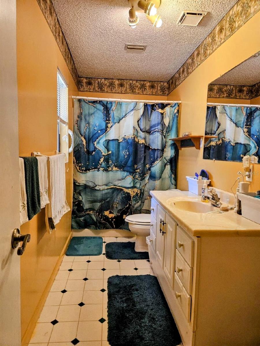 24008 ERMINE RD, ASTOR, FL, 32102