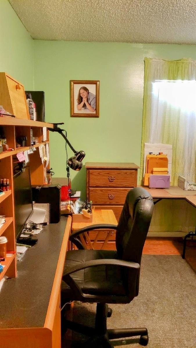 24008 ERMINE RD, ASTOR, FL, 32102
