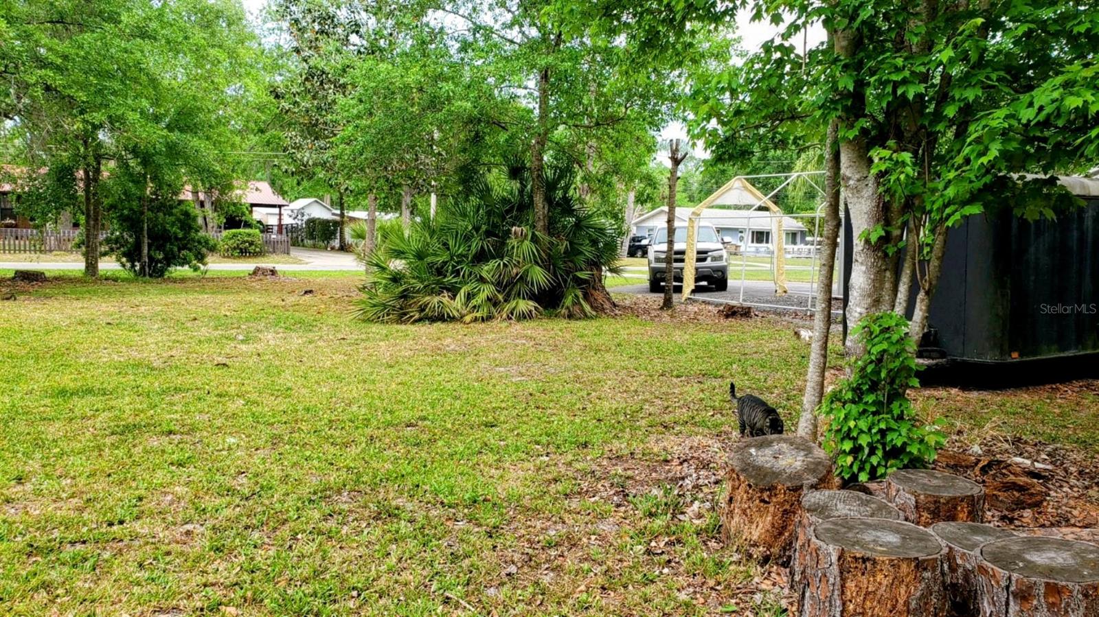 24008 ERMINE RD, ASTOR, FL, 32102