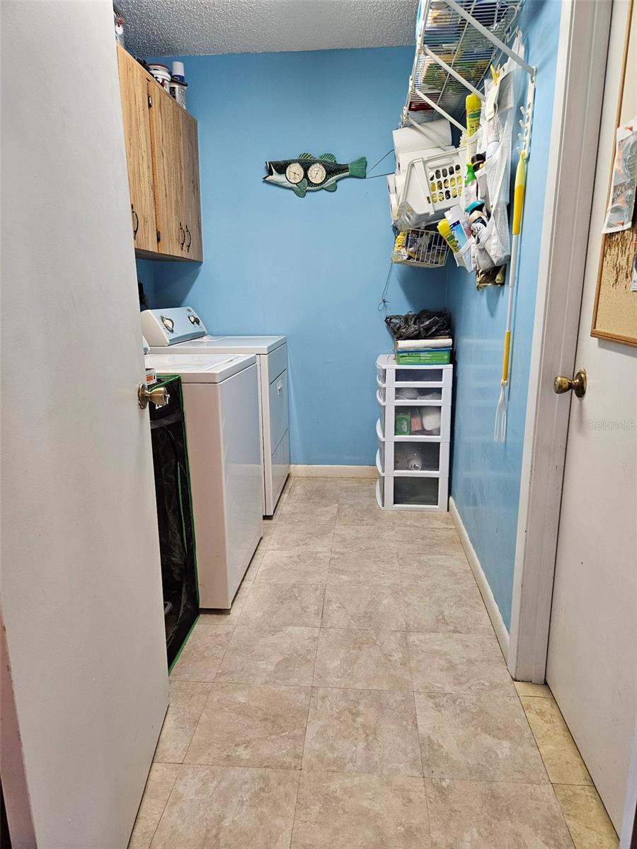 24008 ERMINE RD, ASTOR, FL, 32102
