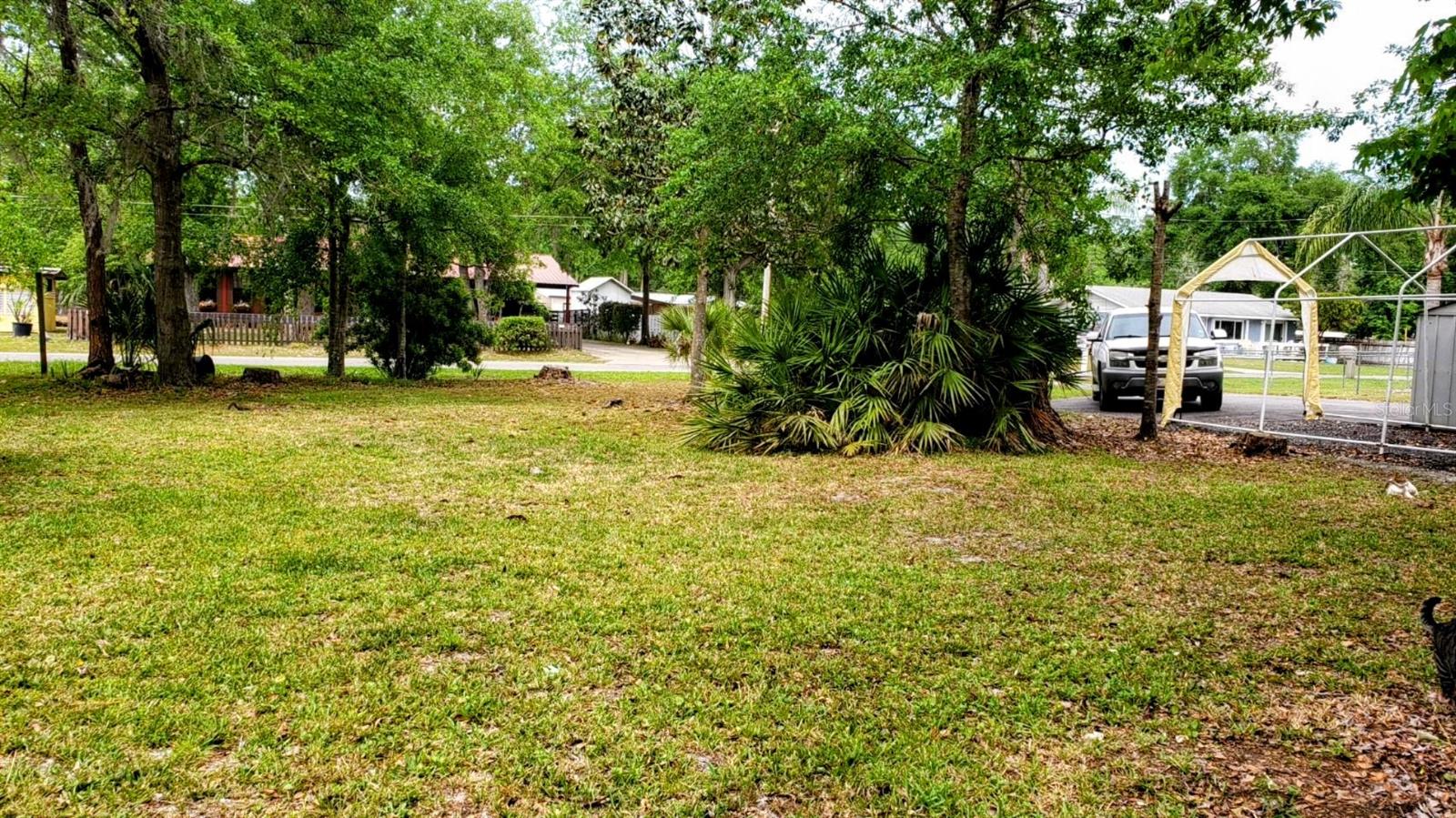 24008 ERMINE RD, ASTOR, FL, 32102