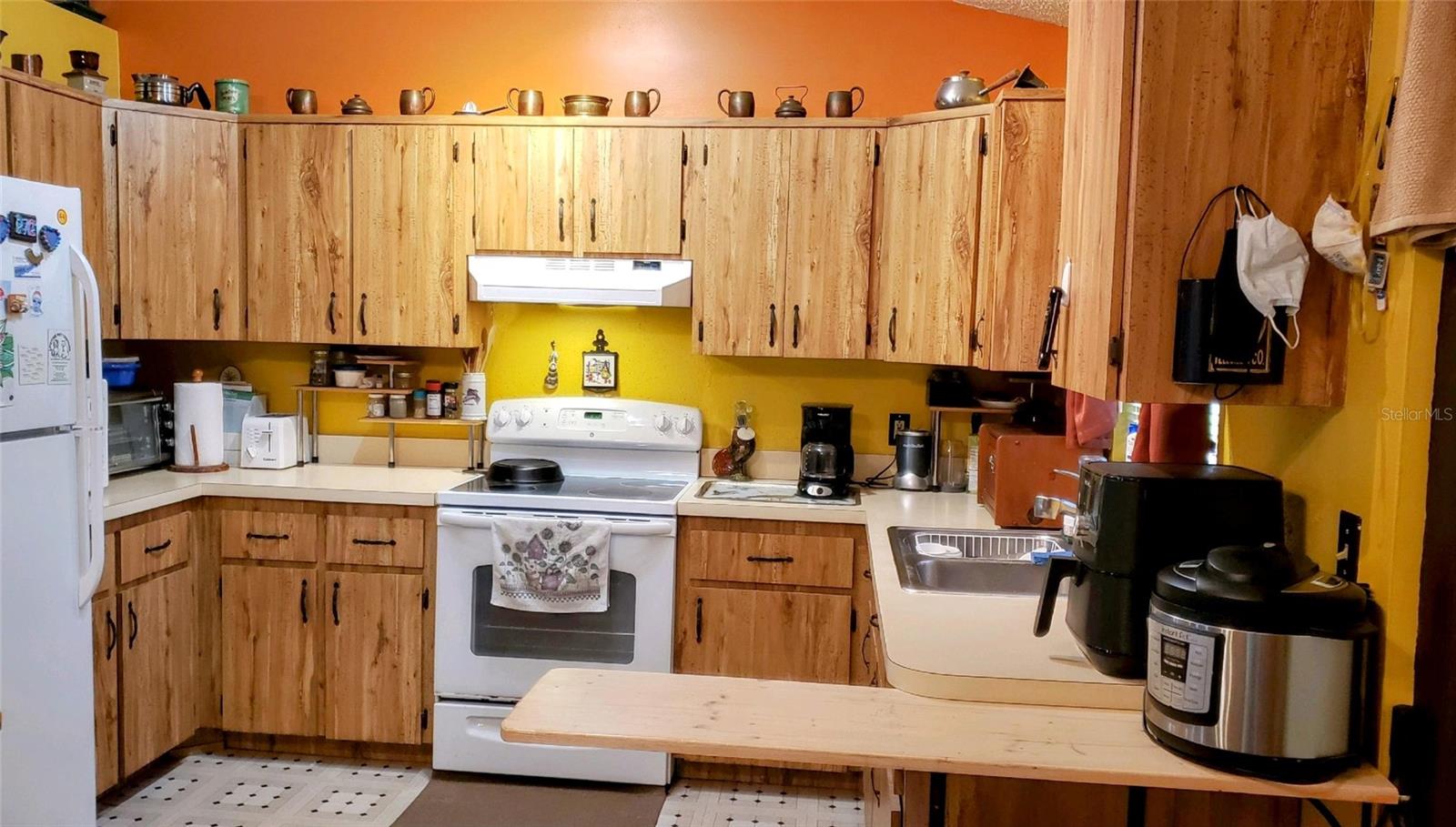 24008 ERMINE RD, ASTOR, FL, 32102
