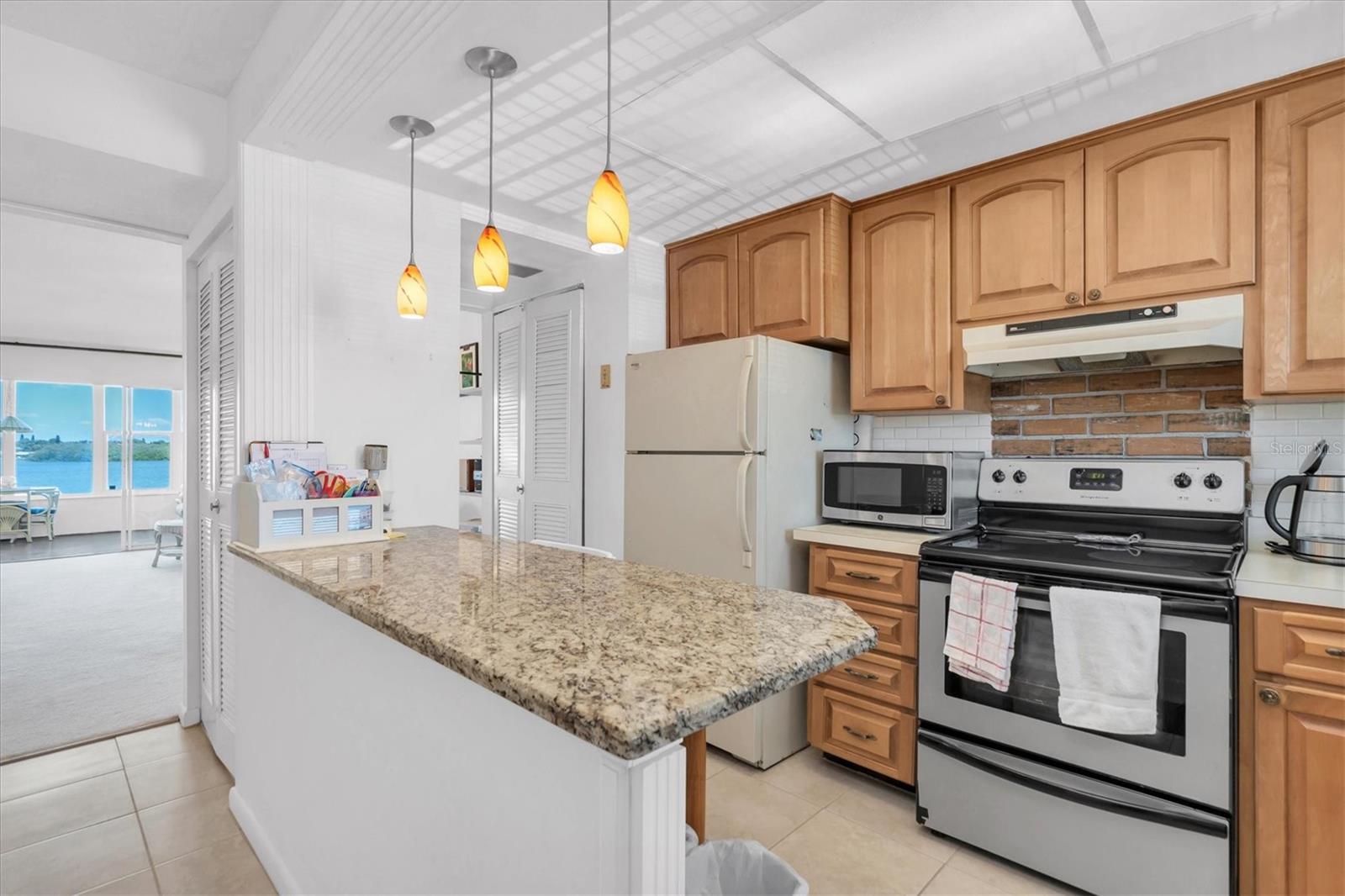 1847 SHORE DR S #202, SOUTH PASADENA, FL, 33707