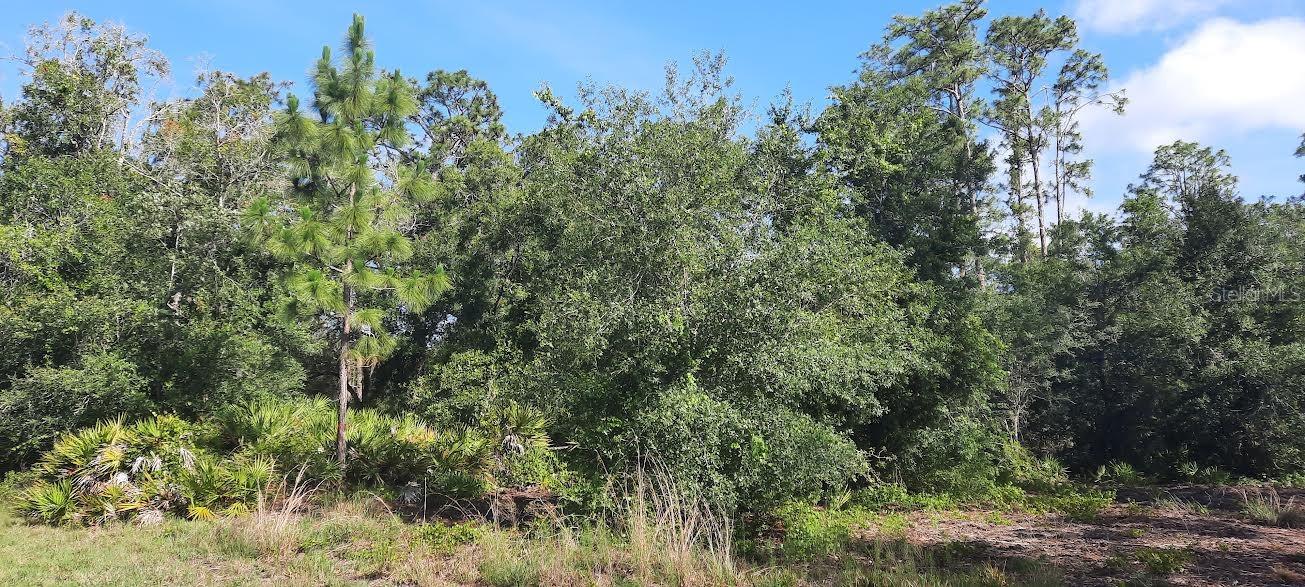 PANDORA DR, INDIAN LAKE ESTATES, FL, 33855