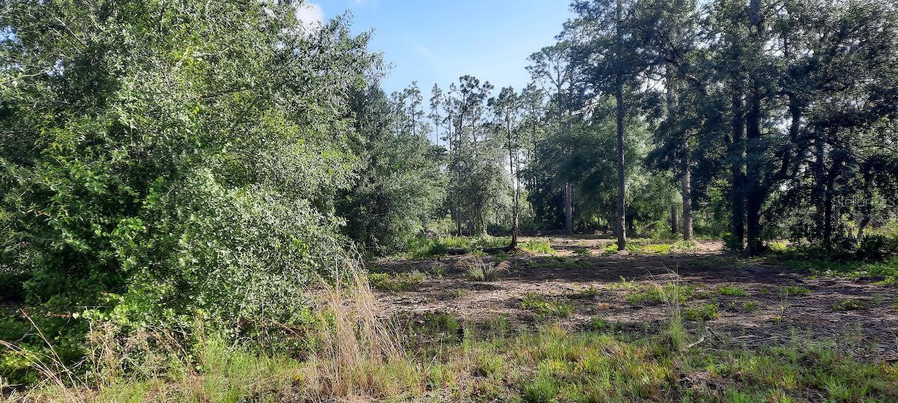 PANDORA DR, INDIAN LAKE ESTATES, FL, 33855