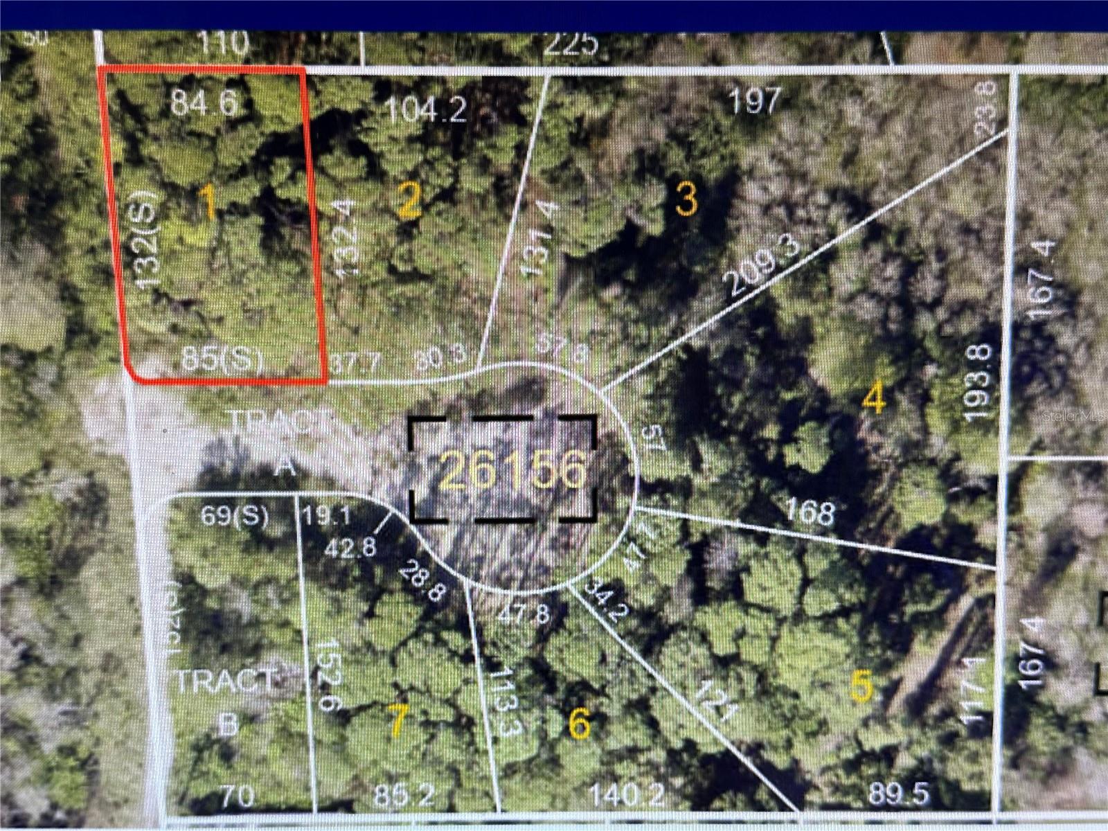 1289 ALMARIA CT, PALM HARBOR, FL, 34683