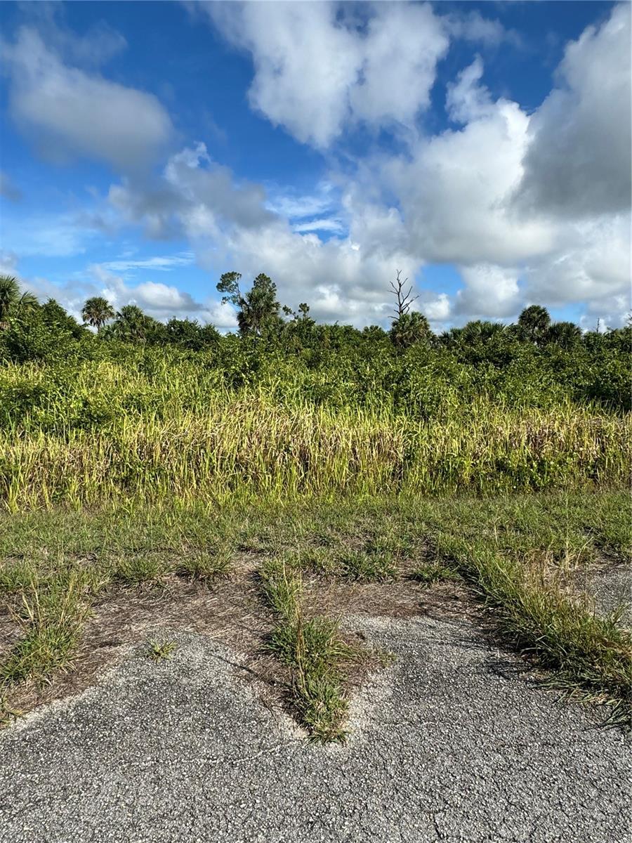 CANDLELIGHT RD, NORTH PORT, FL, 34288