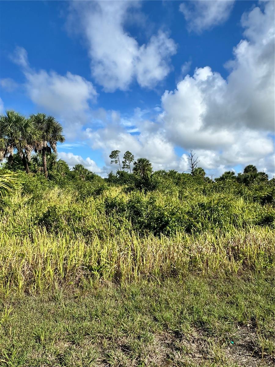 CANDLELIGHT RD, NORTH PORT, FL, 34288