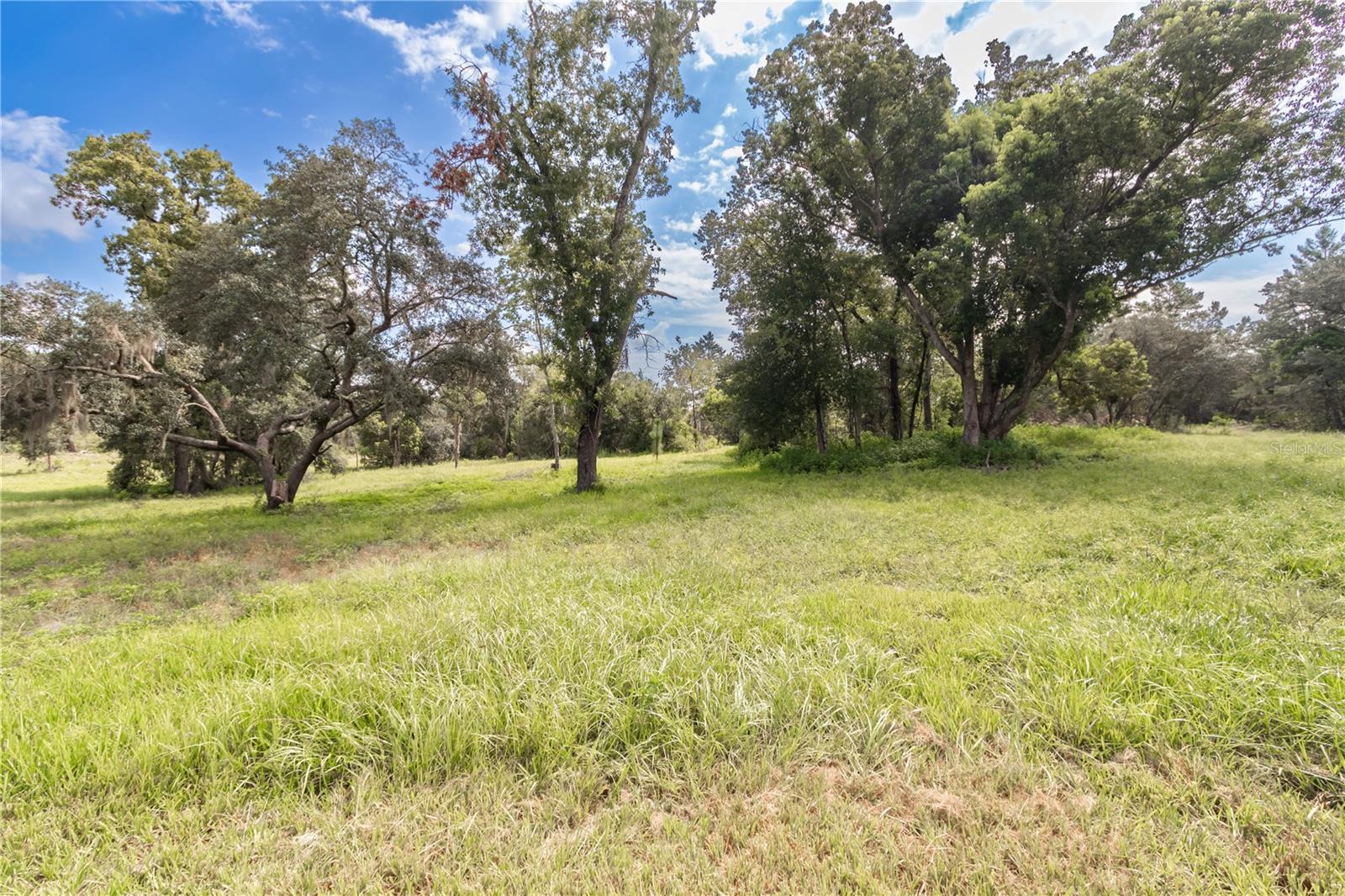 10655 N PARTY AVE, DUNNELLON, FL, 34433