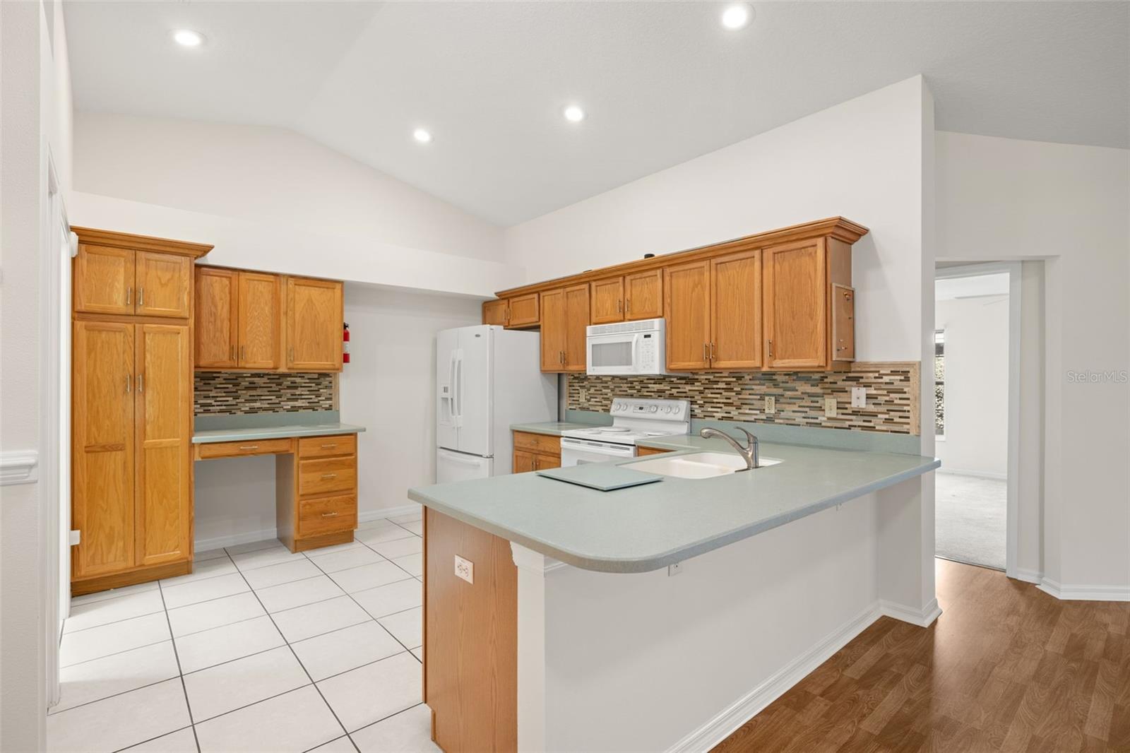 29339 CADDY SHACK LN, SAN ANTONIO, FL, 33576