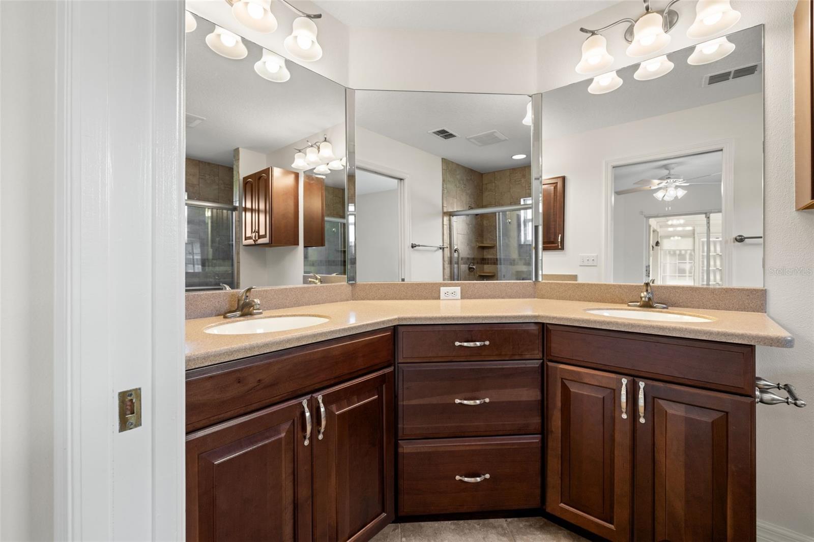 29339 CADDY SHACK LN, SAN ANTONIO, FL, 33576