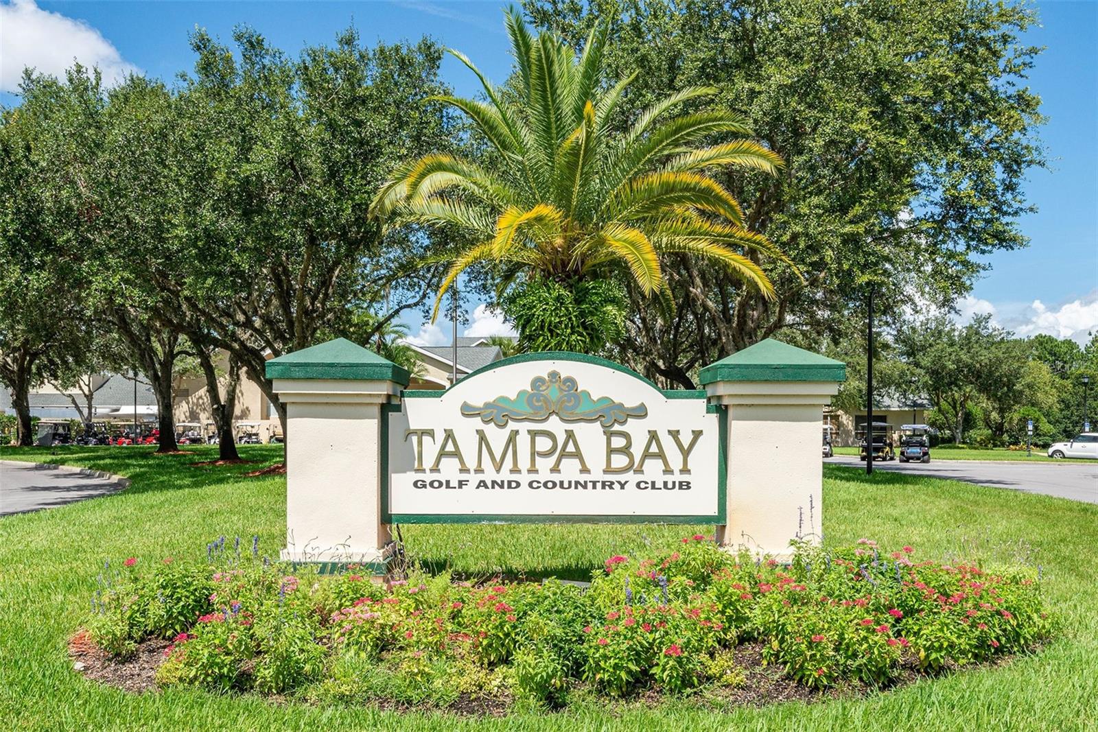 29339 CADDY SHACK LN, SAN ANTONIO, FL, 33576