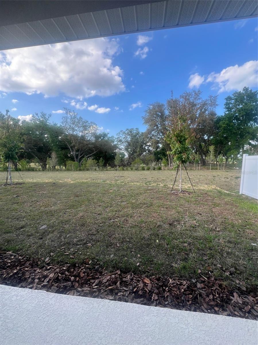 2252 JUNIPER BERRY DR, MINNEOLA, FL, 34715