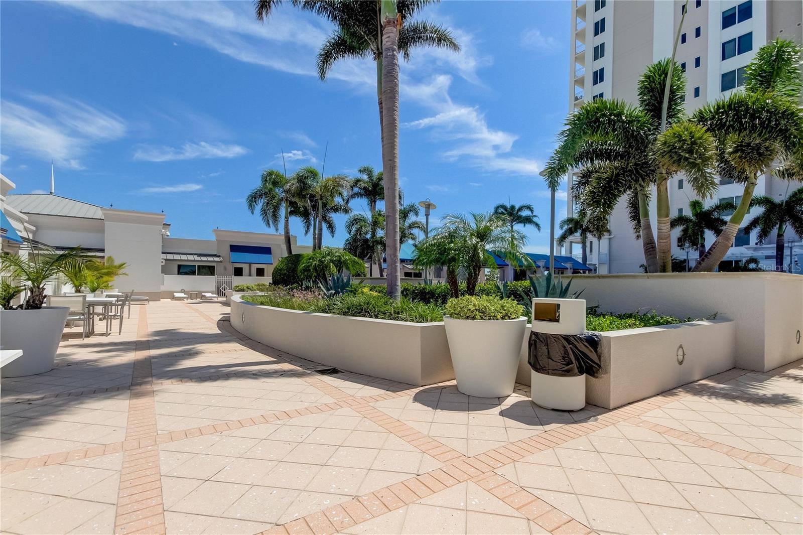 331 CLEVELAND ST #317, CLEARWATER, FL, 33755