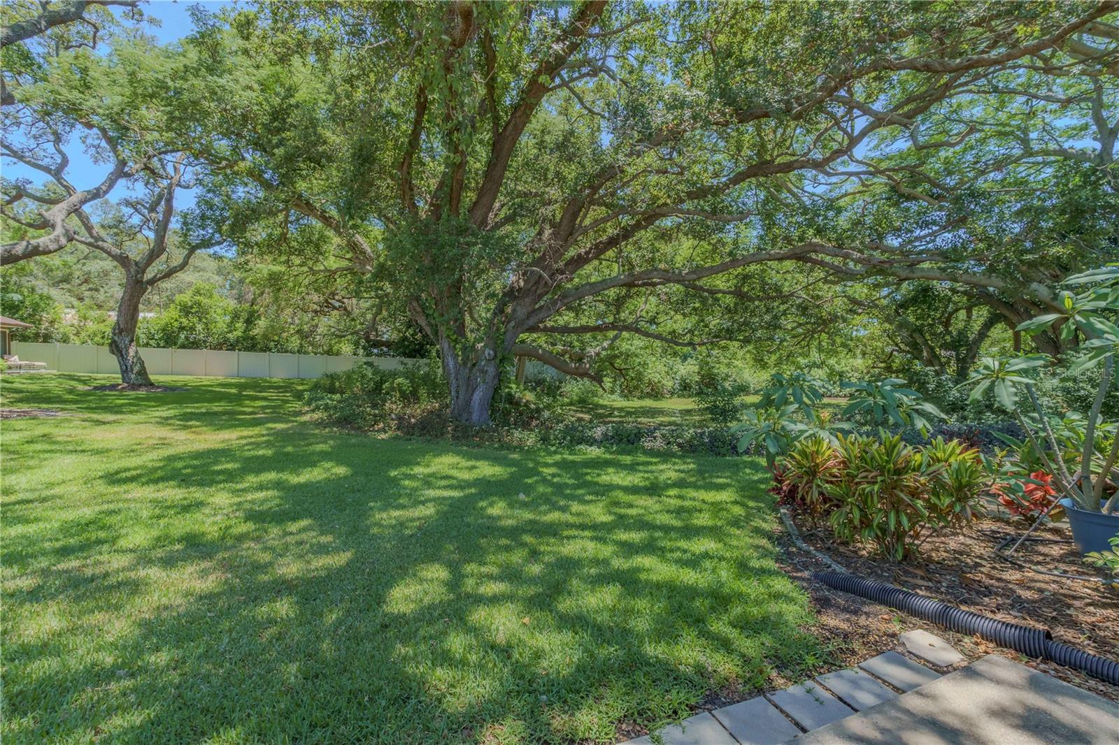 1341 AZALEA DR #1905, DUNEDIN, FL, 34698