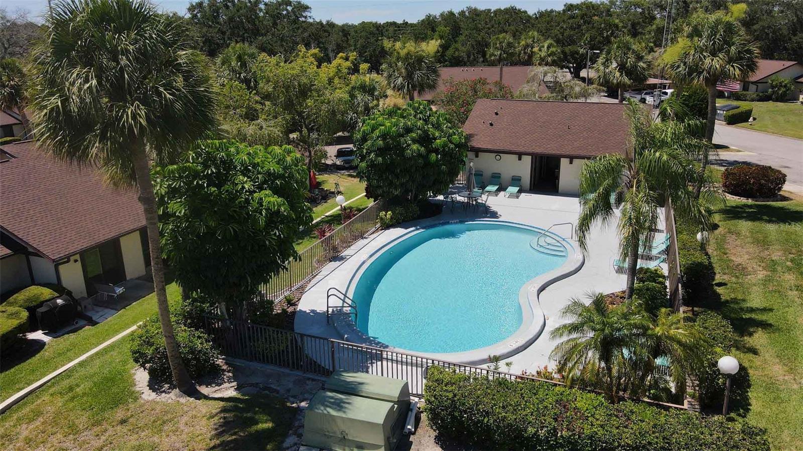 1341 AZALEA DR #1905, DUNEDIN, FL, 34698