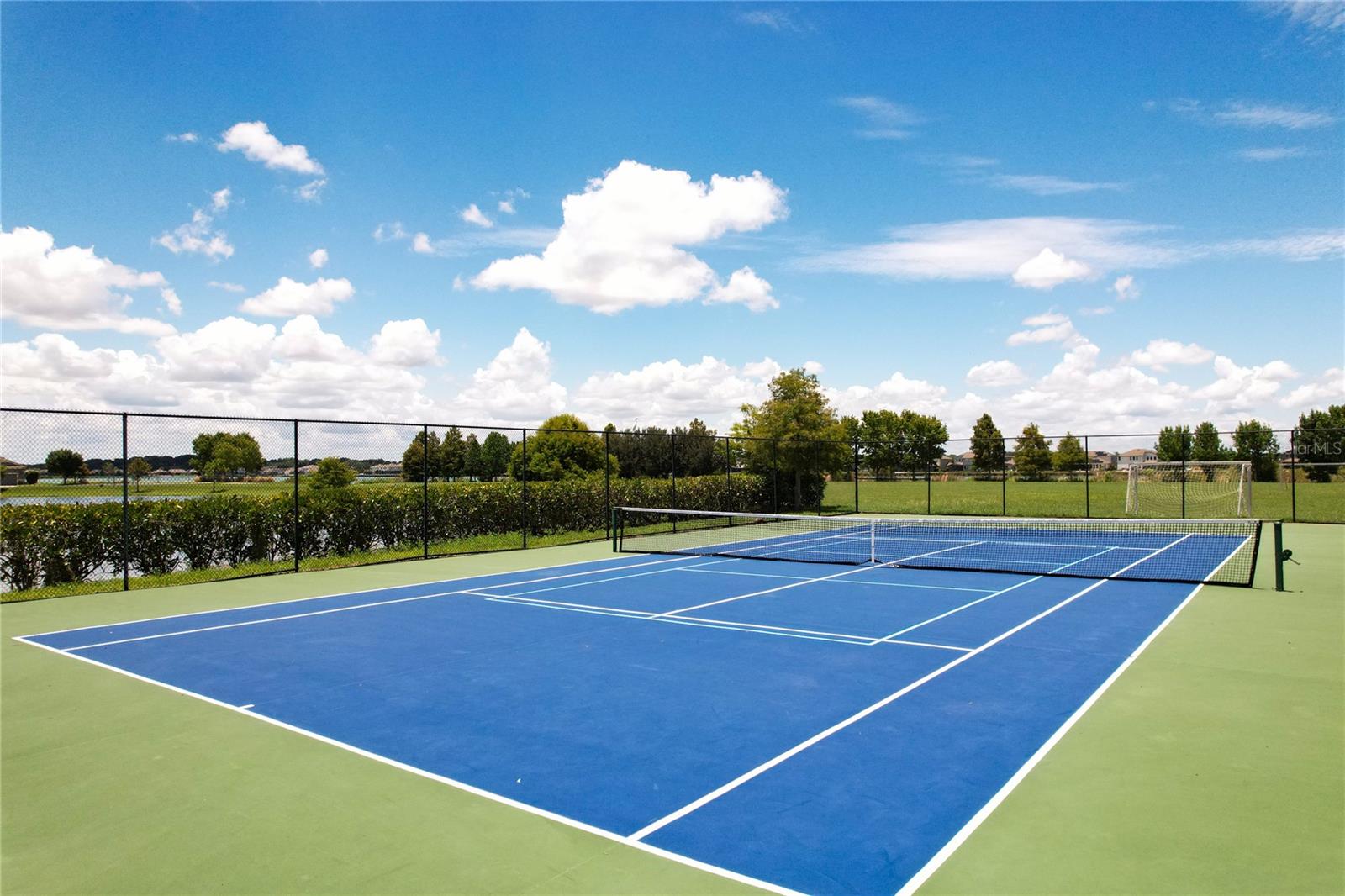 316 BLUE CYPRESS DR, GROVELAND, FL, 34736