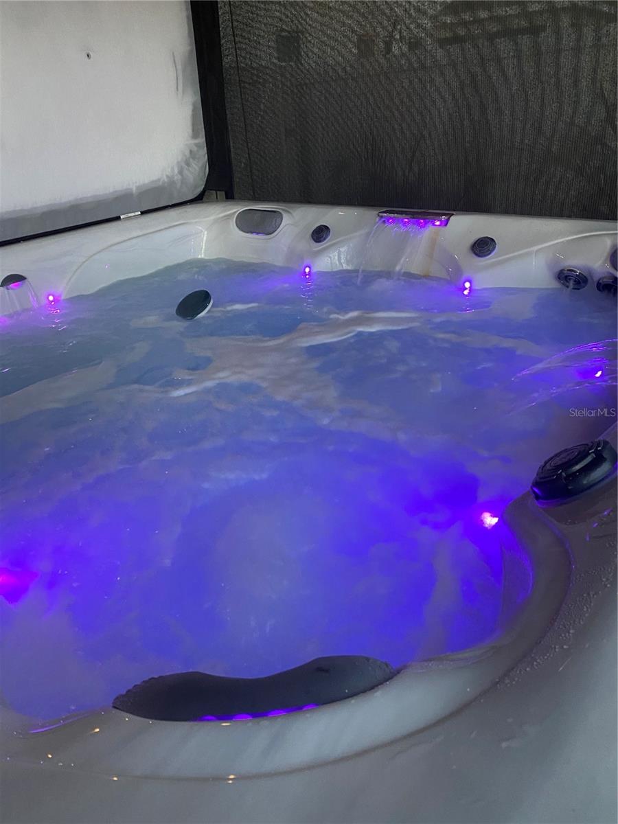 316 BLUE CYPRESS DR, GROVELAND, FL, 34736