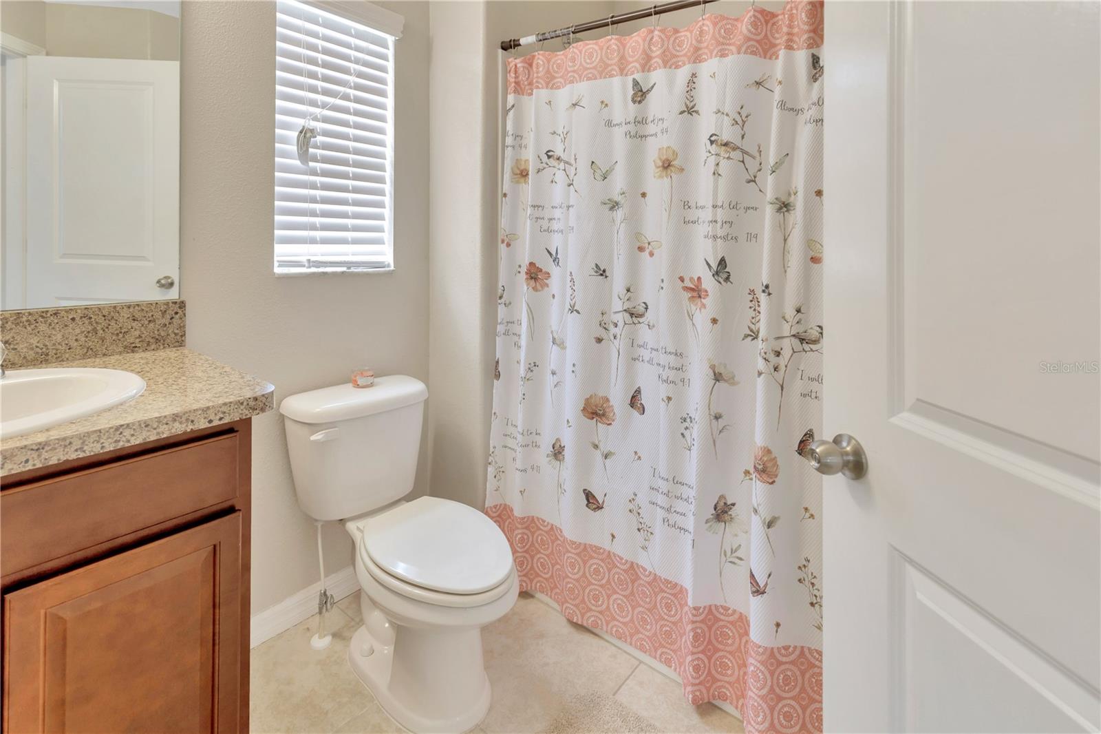 10719 MOONLIGHT MILE WAY, RIVERVIEW, FL, 33579