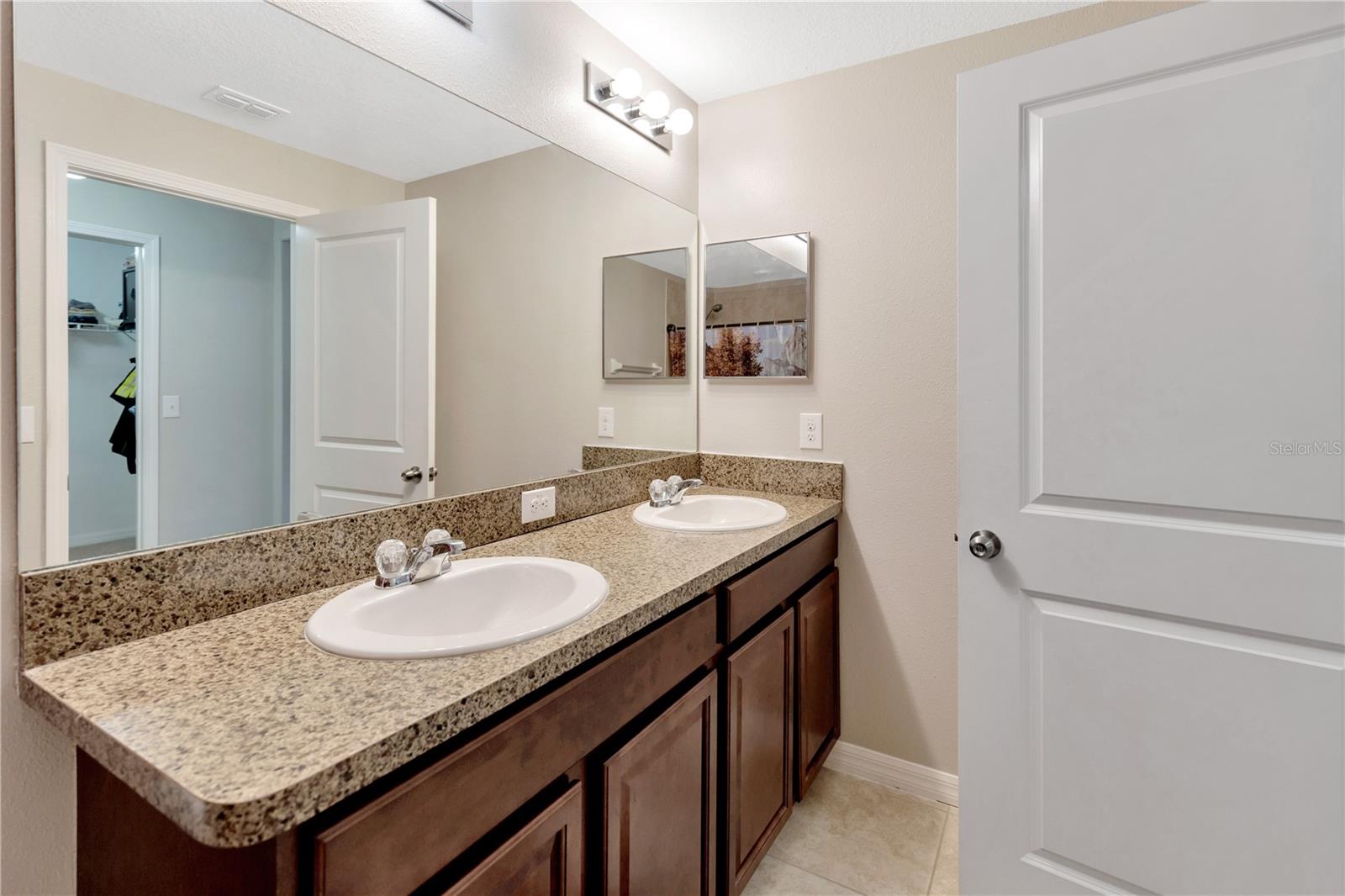 10719 MOONLIGHT MILE WAY, RIVERVIEW, FL, 33579