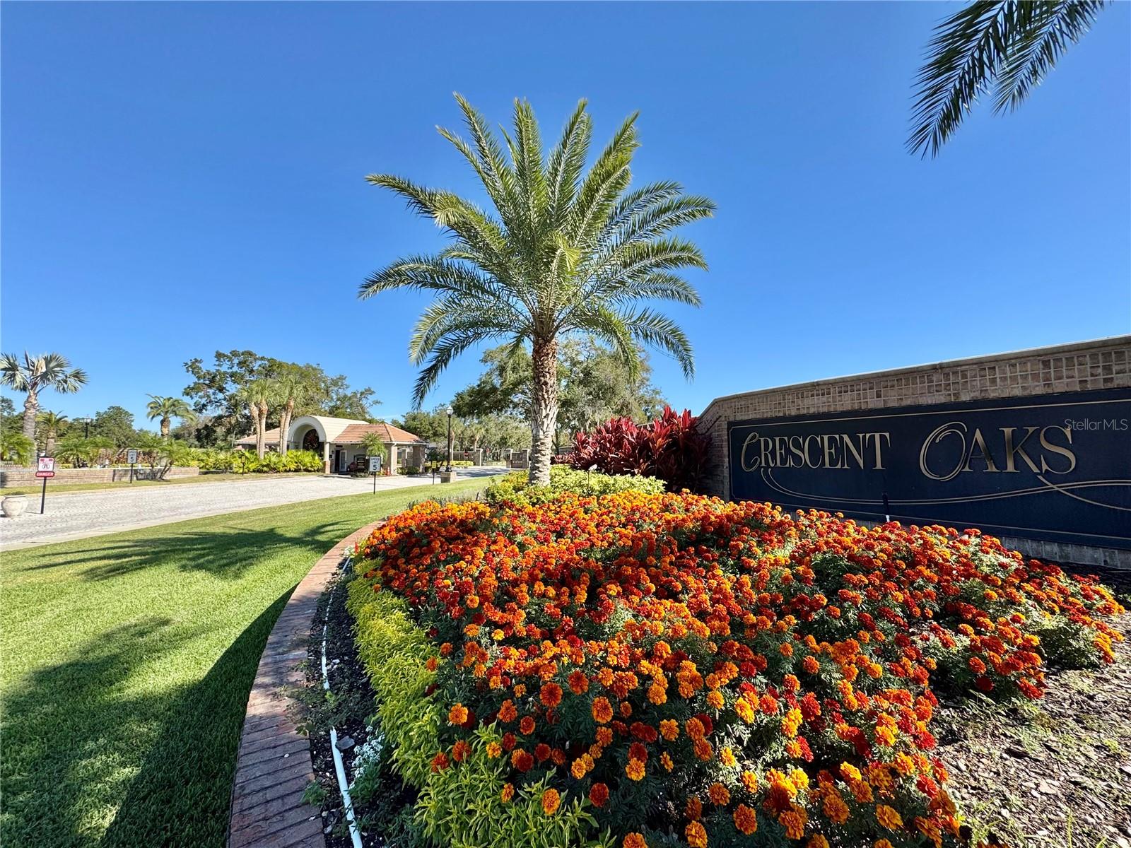 3181 STERLING ST, TARPON SPRINGS, FL, 34688