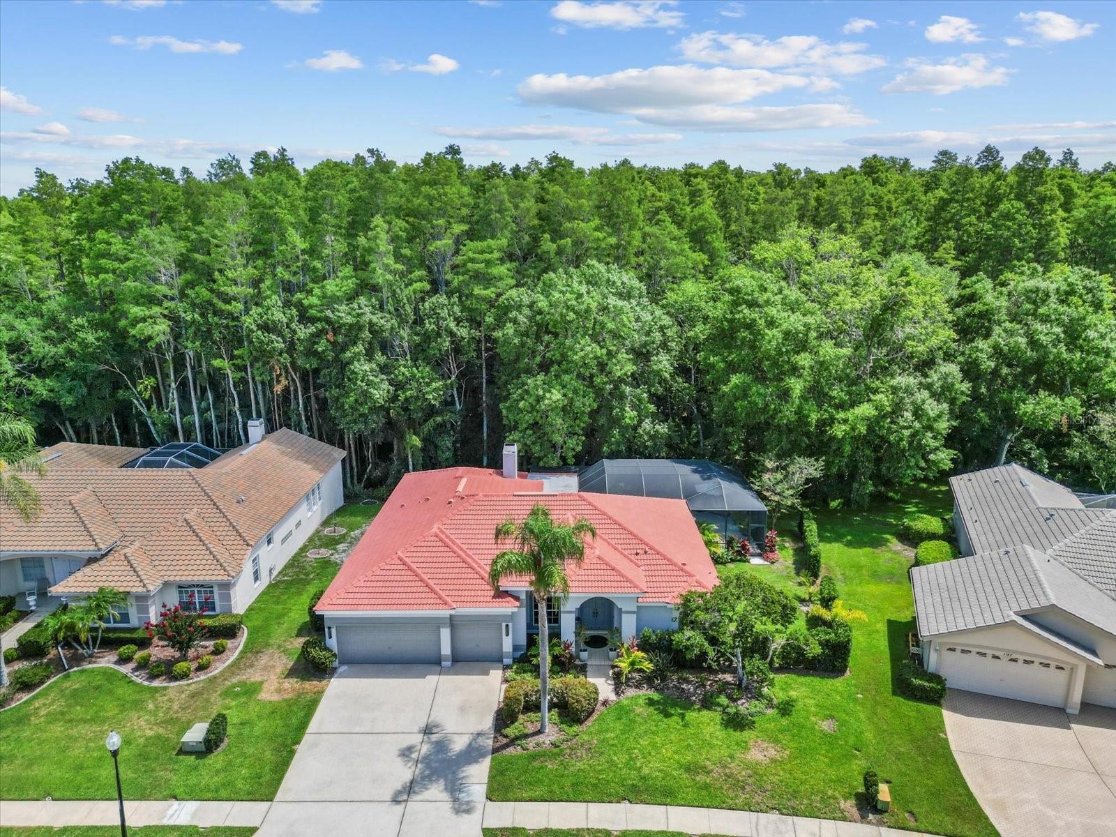 3181 STERLING ST, TARPON SPRINGS, FL, 34688