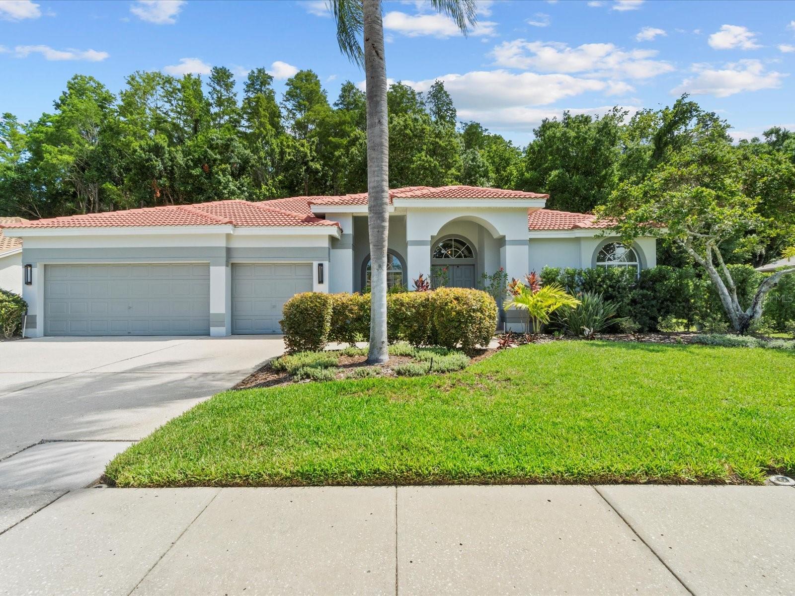 3181 STERLING ST, TARPON SPRINGS, FL, 34688