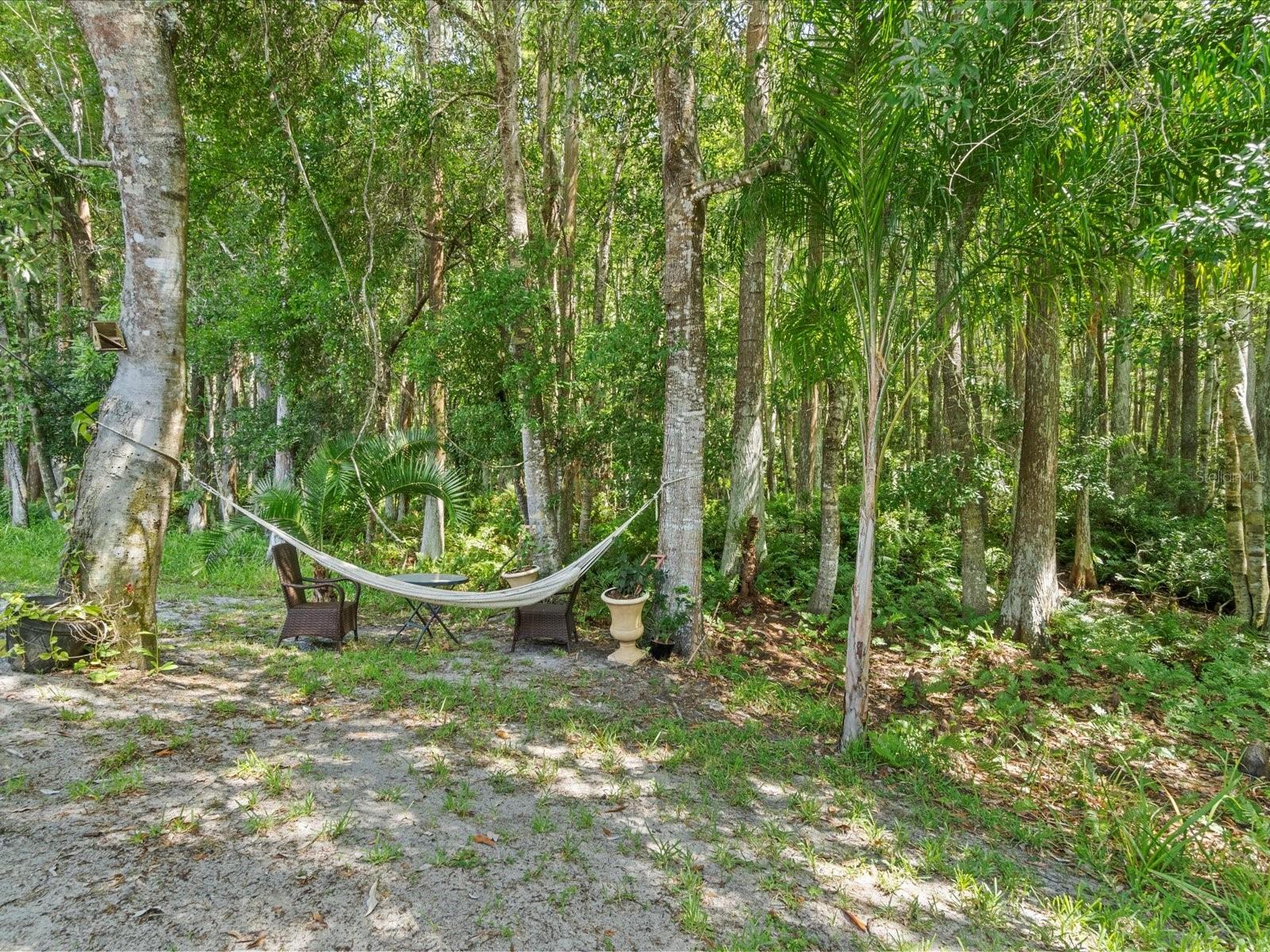 3181 STERLING ST, TARPON SPRINGS, FL, 34688