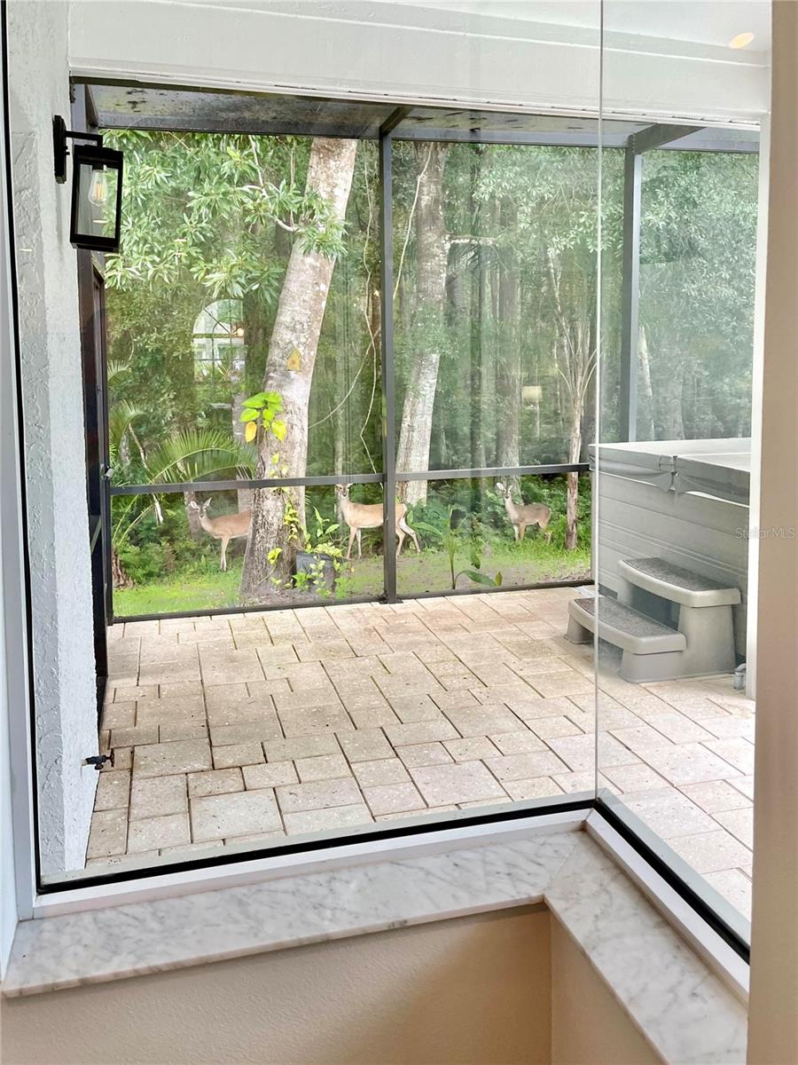 3181 STERLING ST, TARPON SPRINGS, FL, 34688