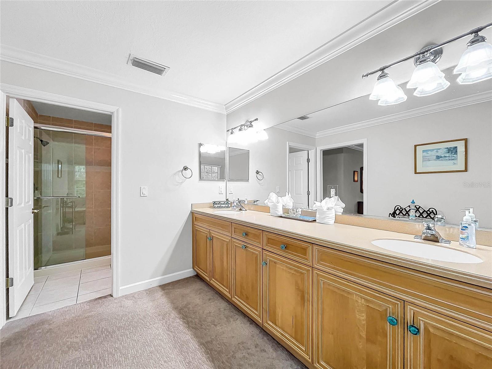 219 81ST ST, HOLMES BEACH, FL, 34217