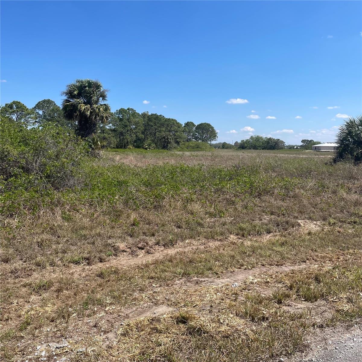 8115 OLIVE CT, LABELLE, FL, 33935