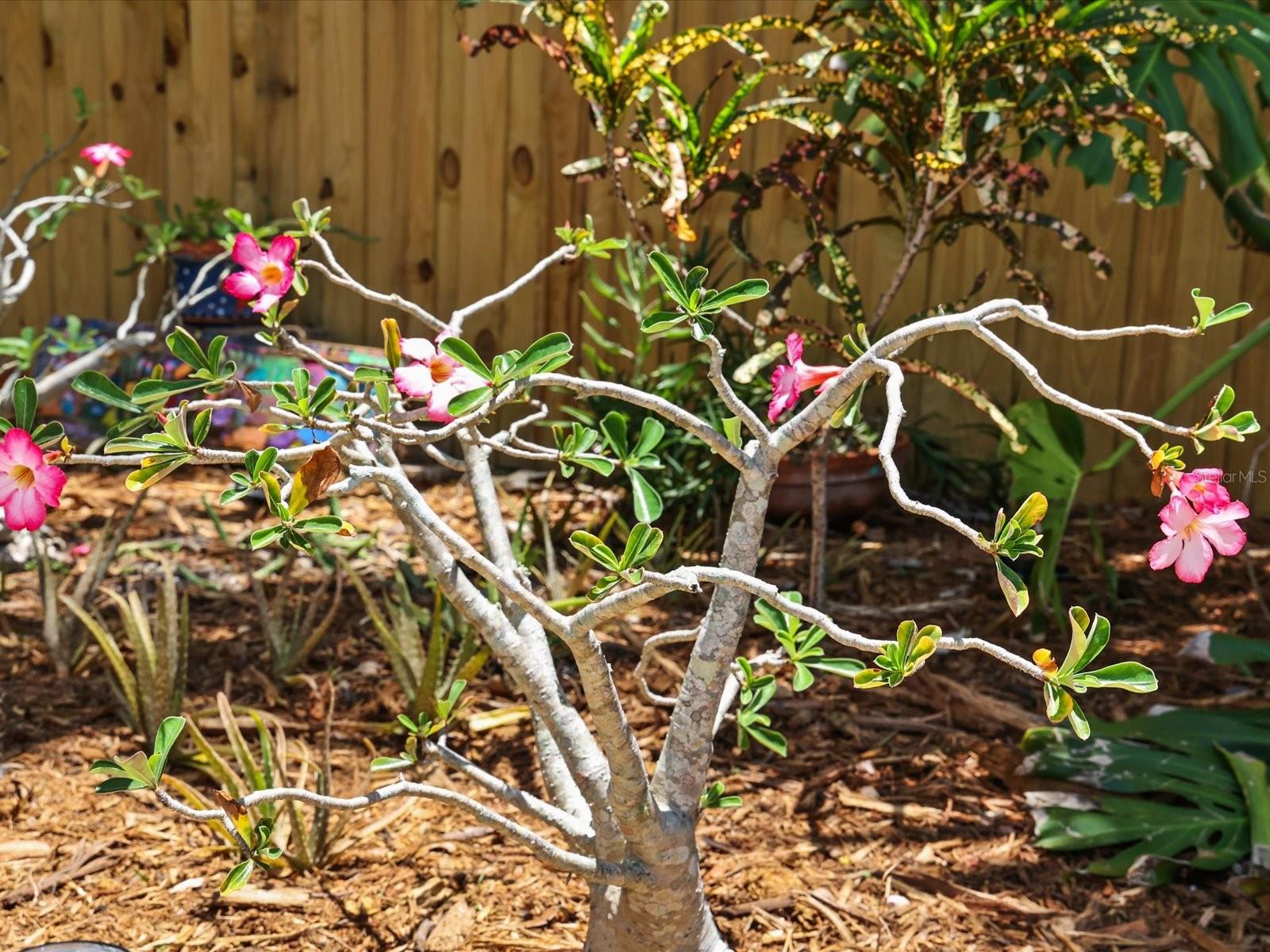 7126 13TH ST N, ST PETERSBURG, FL, 33702