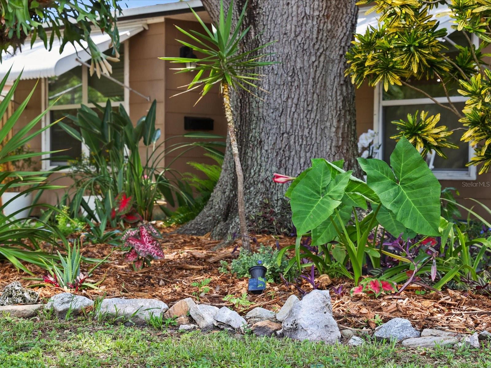 7126 13TH ST N, ST PETERSBURG, FL, 33702