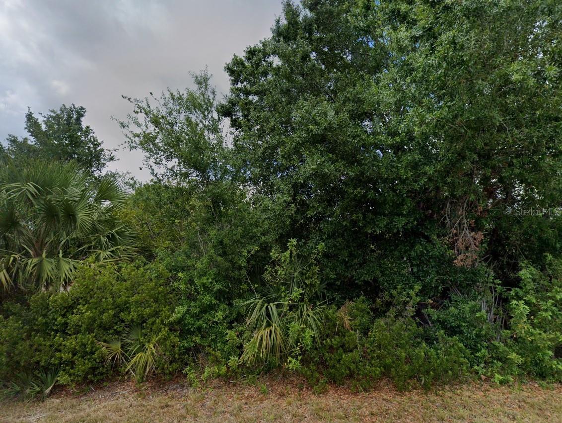 11256 REINHARDT AVE, ENGLEWOOD, FL, 34224