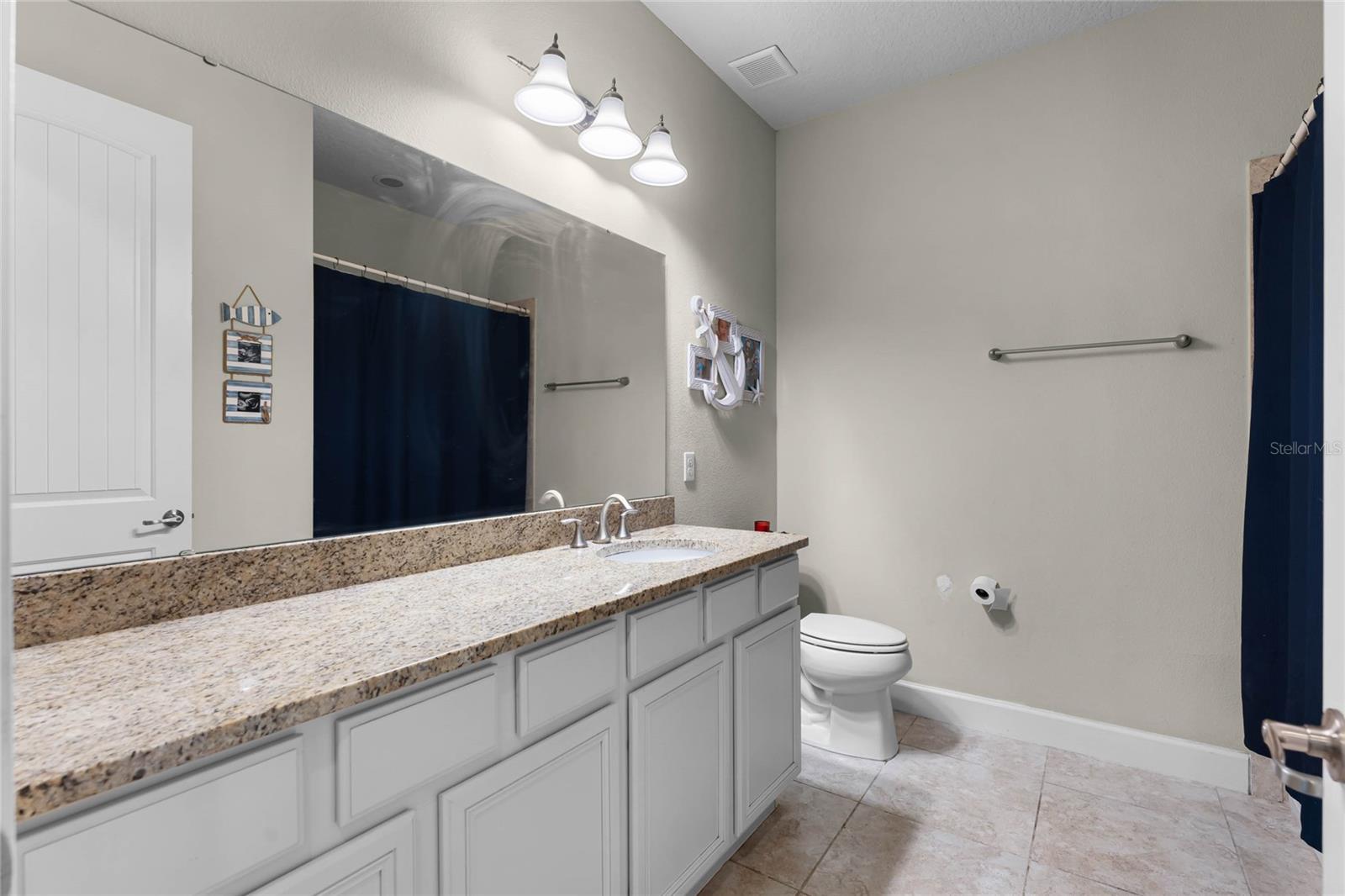 30215 BRETTON LOOP, MOUNT DORA, FL, 32757