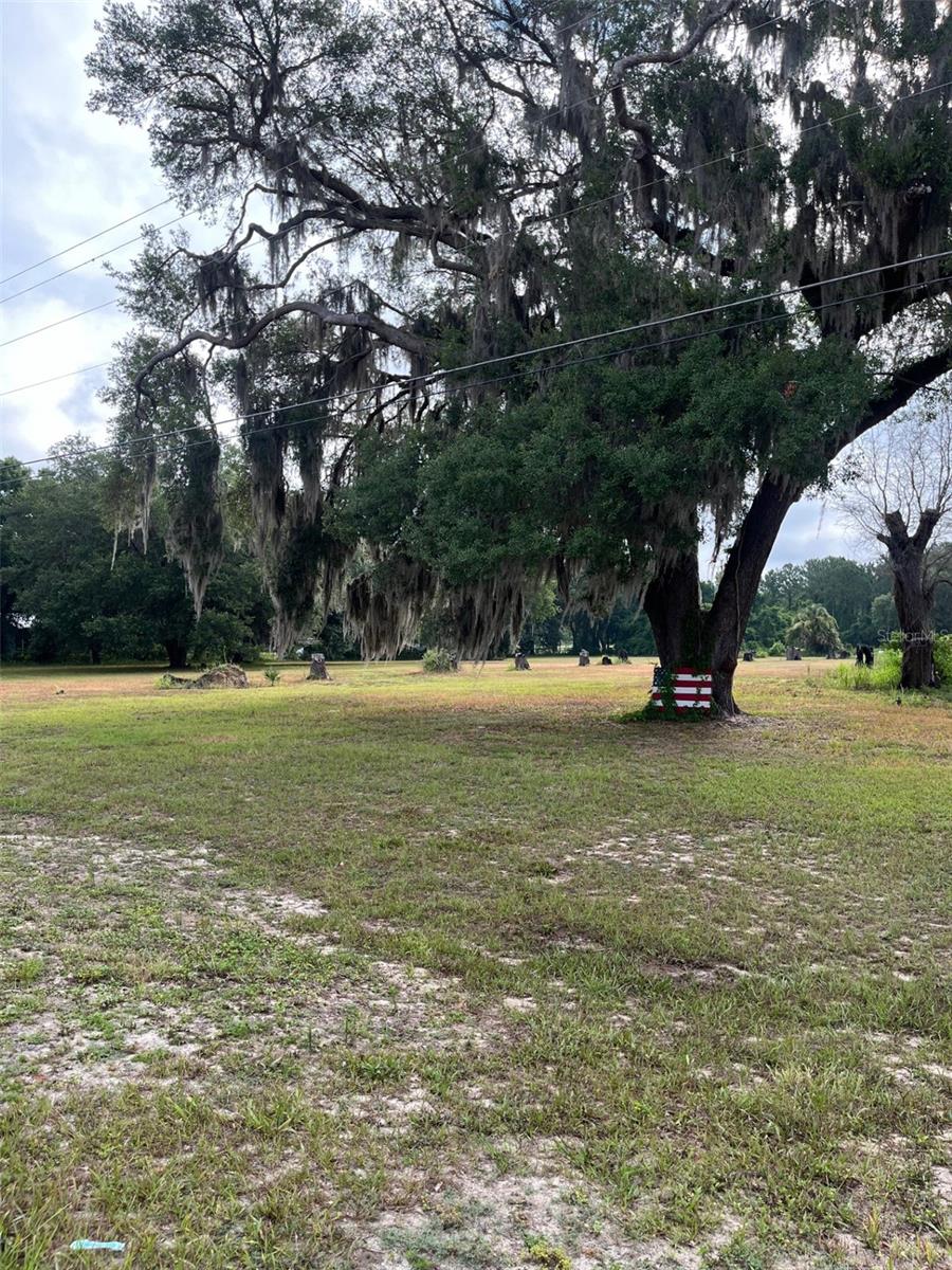 11701 SE HIGHWAY 464, OCKLAWAHA, FL, 32179