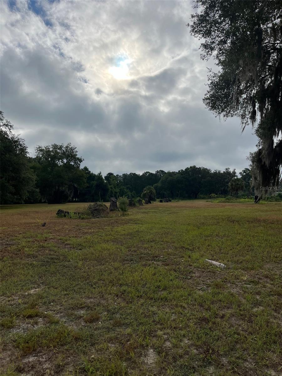 11701 SE HIGHWAY 464, OCKLAWAHA, FL, 32179