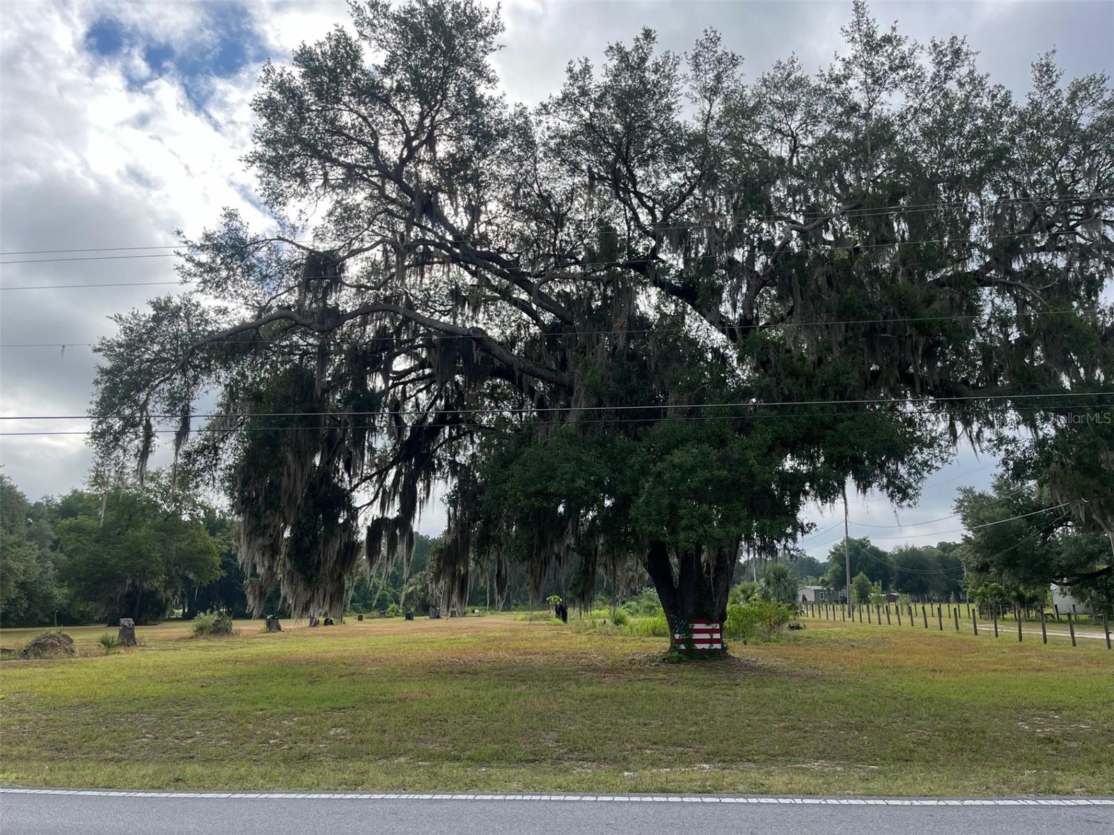 11701 SE HIGHWAY 464, OCKLAWAHA, FL, 32179