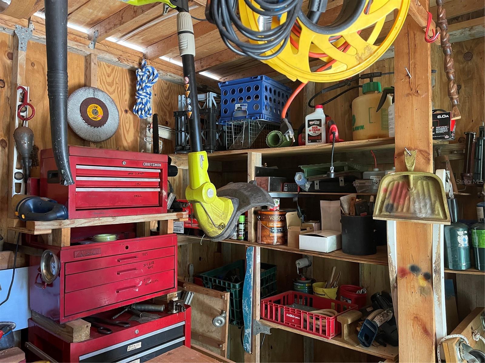 20961 LITTLE MAGENS LOOP, LUTZ, FL, 33558