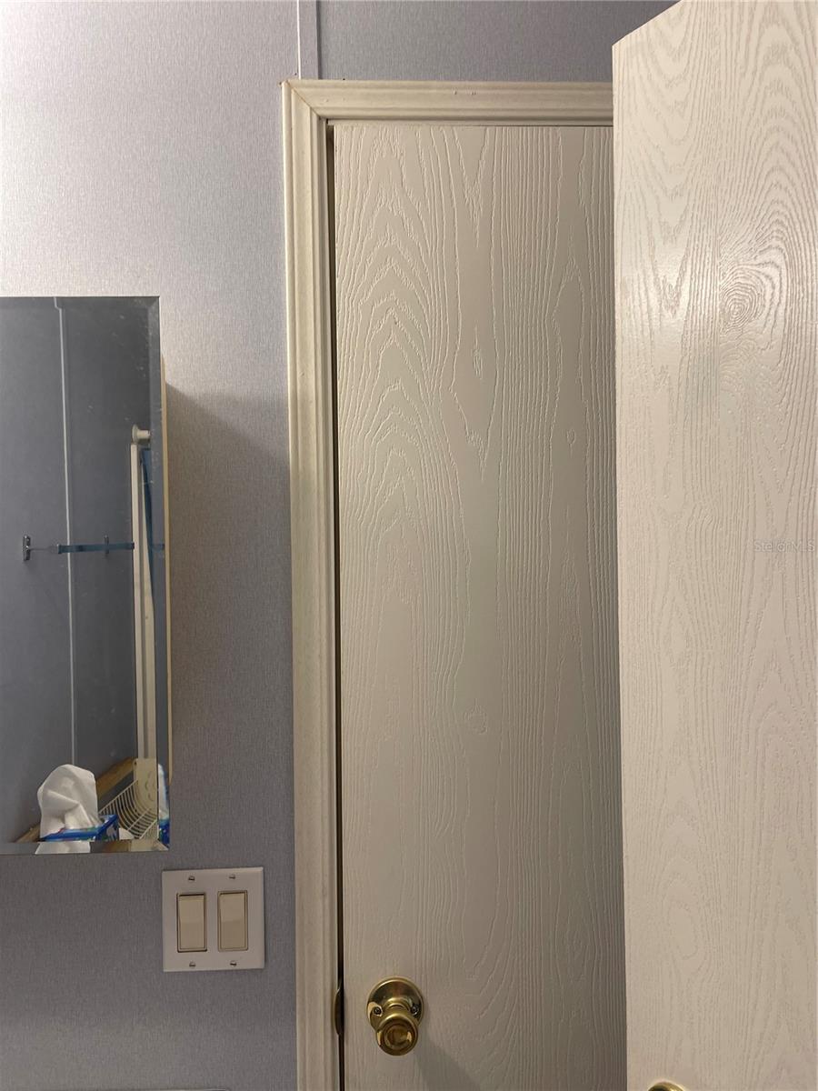 20961 LITTLE MAGENS LOOP, LUTZ, FL, 33558