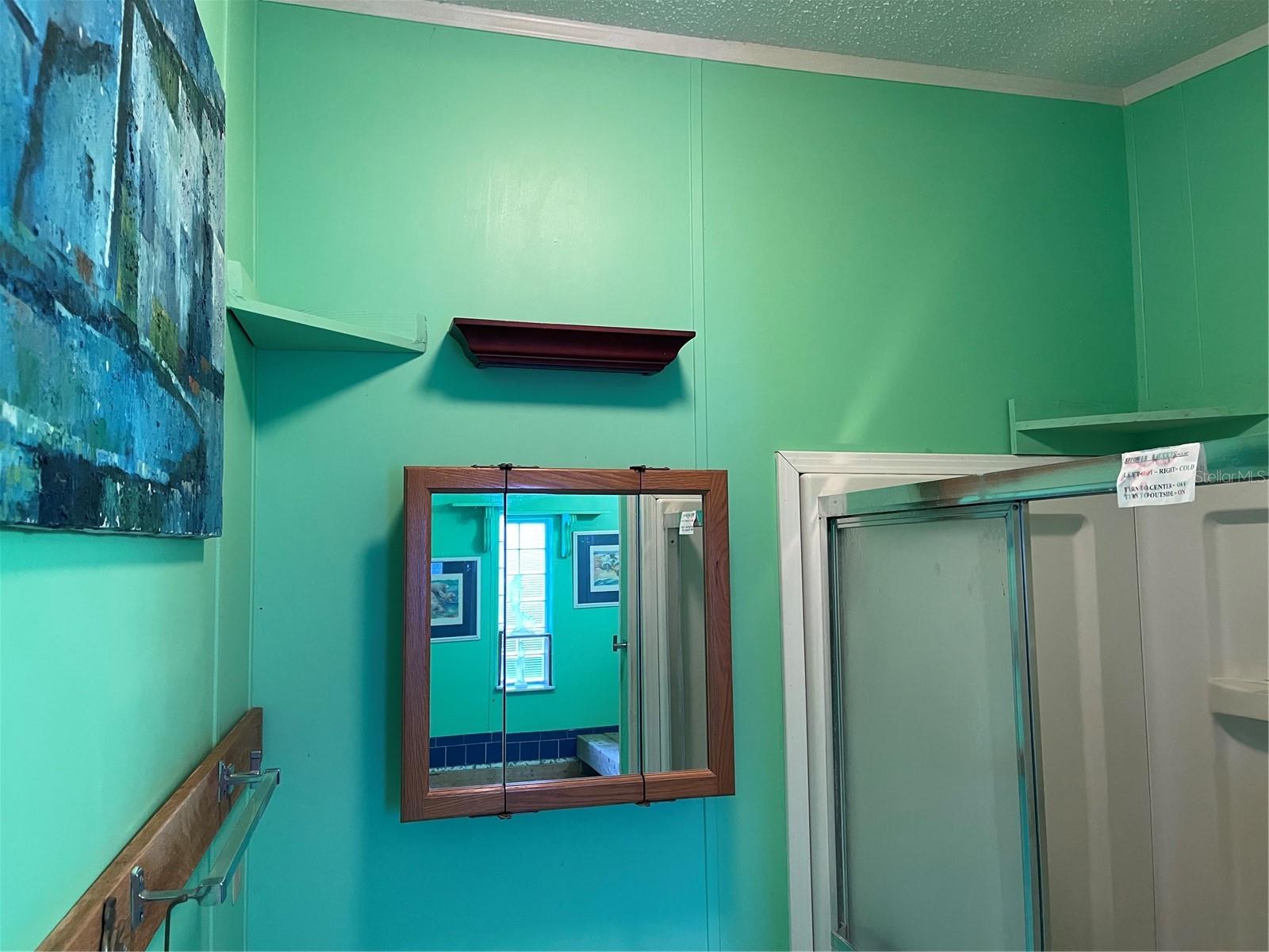 20961 LITTLE MAGENS LOOP, LUTZ, FL, 33558