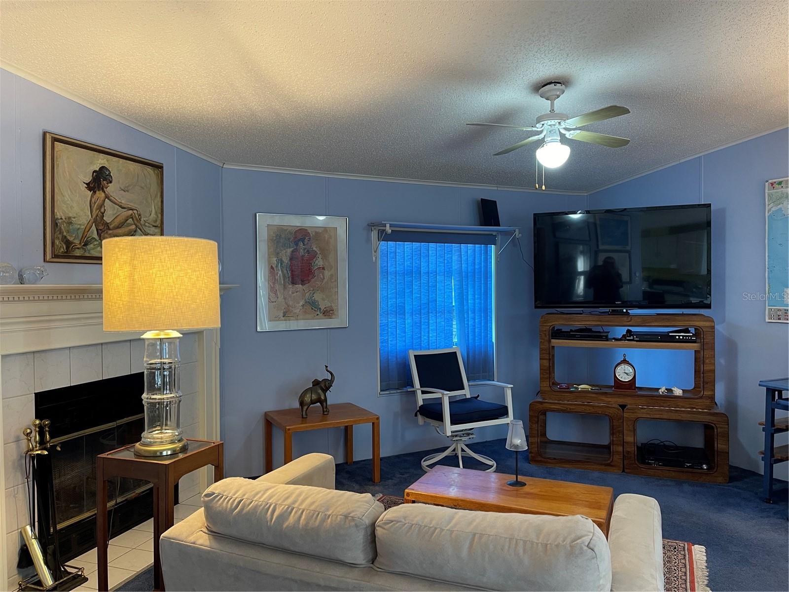 20961 LITTLE MAGENS LOOP, LUTZ, FL, 33558