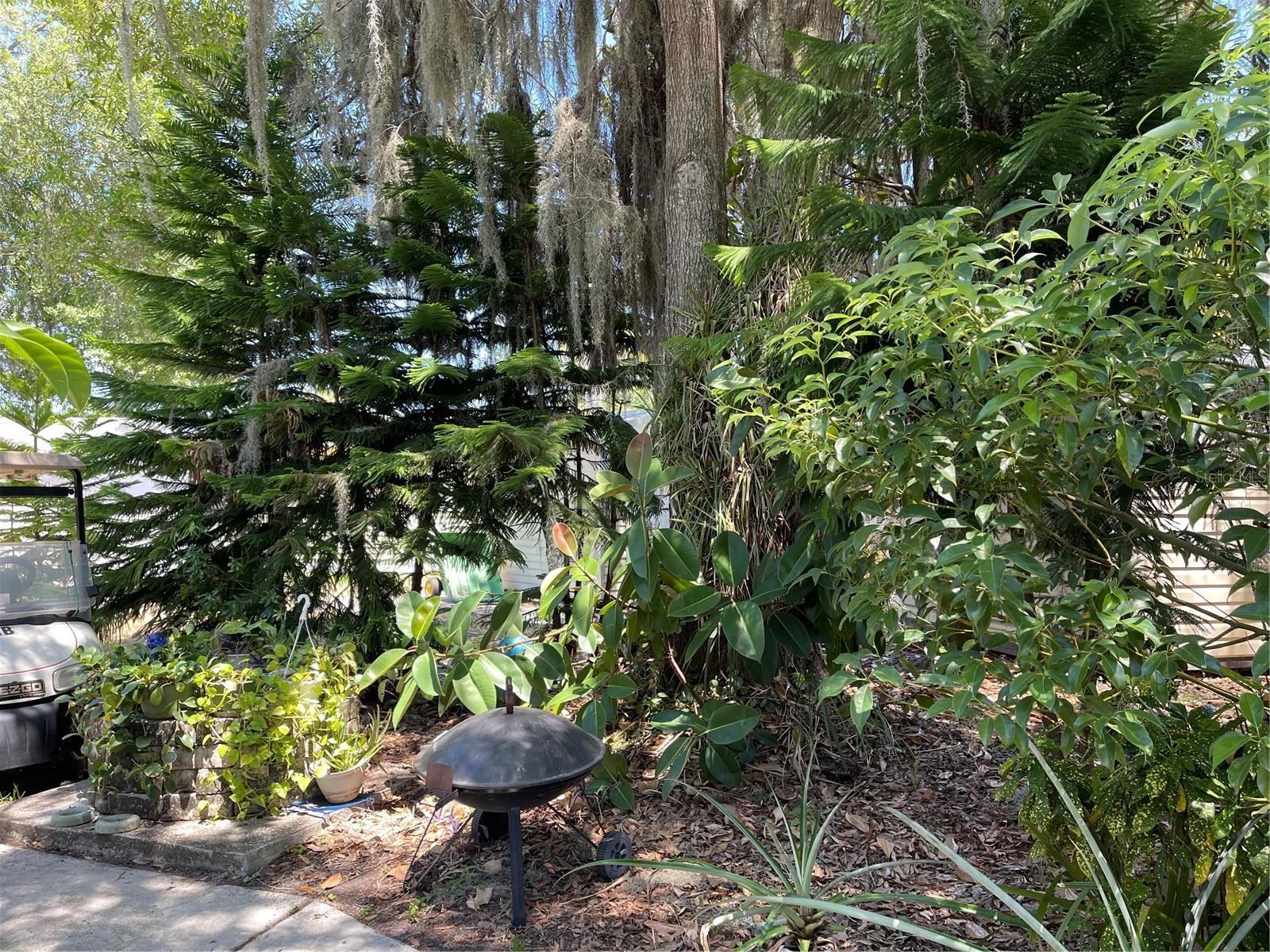 20961 LITTLE MAGENS LOOP, LUTZ, FL, 33558