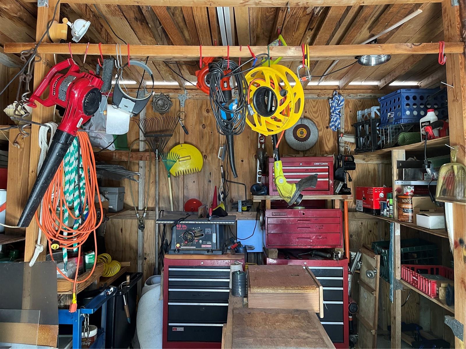 20961 LITTLE MAGENS LOOP, LUTZ, FL, 33558