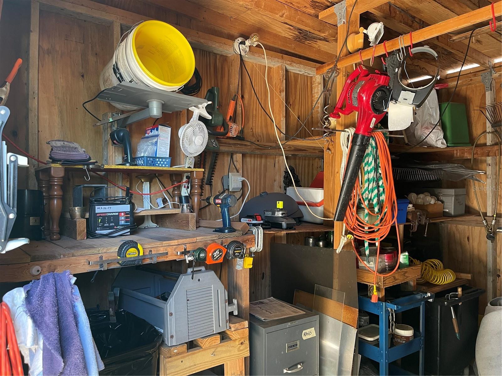 20961 LITTLE MAGENS LOOP, LUTZ, FL, 33558